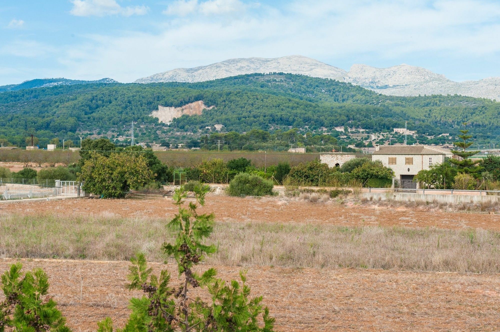 Vila Son Valenti Sa Pobla Exteriér fotografie
